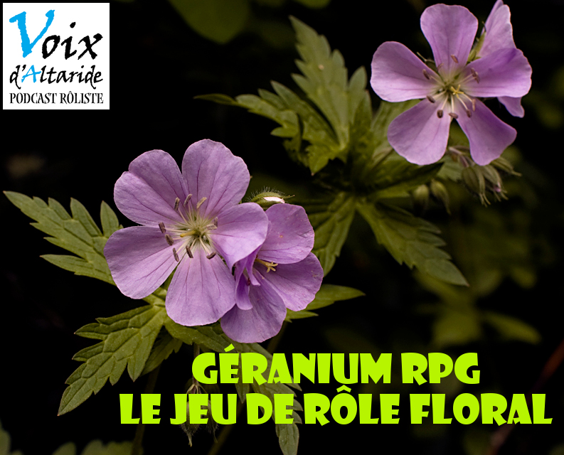 Xavier présente son jeu de rôle : Géranium RPG