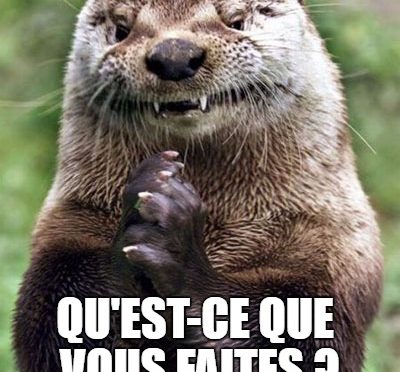 Loutre fourbe