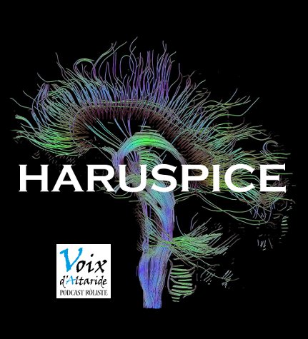 haruspice